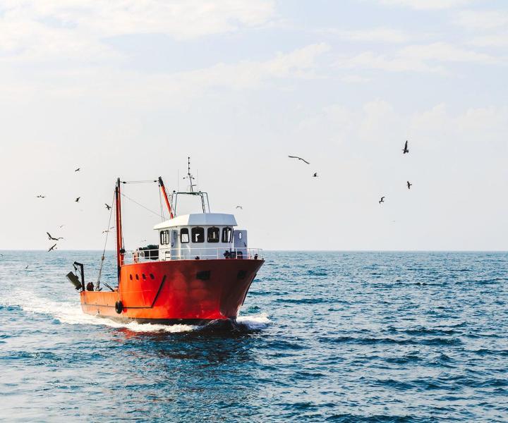 Réparer un bateau de plaisance et maintenir sa performance Saint-Malo